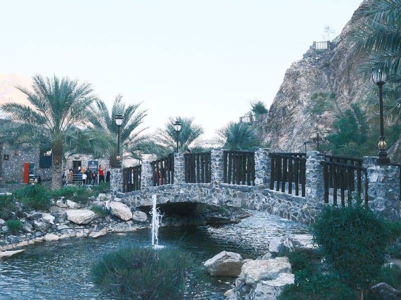 A stone bridge over a pond surrounded by palm trees and rocky hills in a serene outdoor setting.