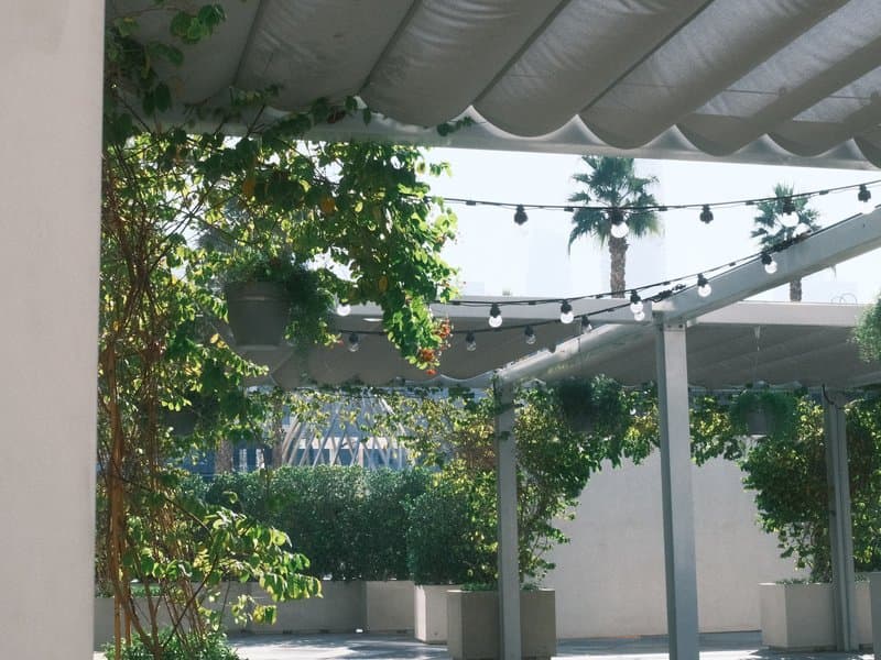 A sunlit outdoor space with greenery and string lights, featuring a modern architectural structure.