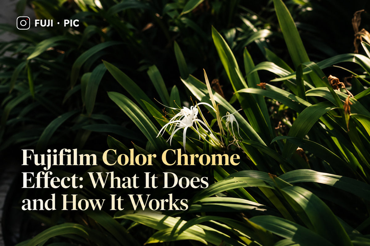 Fujifilm Color Chrome Effect: Weak vs Strong & Camera List
